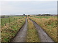 Track leading to Mill of Tillinamolt