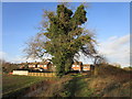 Footpath to Dykes End, Collingham