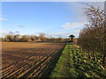 Footpath to West Brook Lane