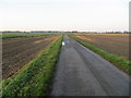 Old Lane heading towards Reedness