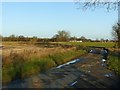 Fryston Common Lane