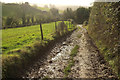 ST7166 : Cotswold Way approaching Pendean Farm by Derek Harper