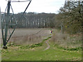 Footpath towards Sandy Lane