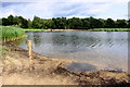 Frensham Little Pond