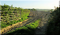 Tilled field, Upcott Farm