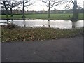 Flood in Lyttelton Playing Fields, Hampstead Garden Suburb