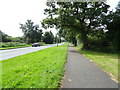 Cycle path beside the A5117