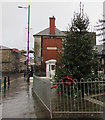 Christmas tree in Pontypool town centre