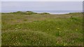 Machair, Crossapol