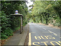 SJ3678 : Bus stop and shelter on Hooton Road (B5133) by JThomas