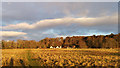 Coastal field below Alness