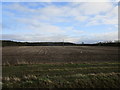 Stubble field near Spanby