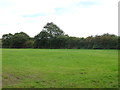 Grassland off Waterworks Lane