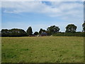 Grazing towards Hargrave Lane Cottages