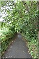 Path beside the River Darent