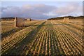 Stubble and round bales, Hatton