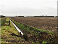TF2205 : Dike and farmland near the A16 north of Peterborough by Richard Humphrey