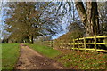 Footpath and trees at Norsebury House