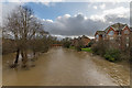 River Mole in flood