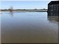 TL2471 : Flooding in Huntingdon, Winter 2019 - Photo 5/9 by Richard Humphrey