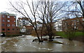 High water in Barton Court Road, Canterbury