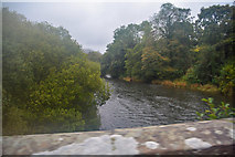 SD3483 : Haverthwaite : River Leven by Lewis Clarke