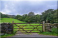 Patterdale : Grassy Field & Gate