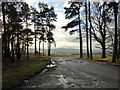 NT7328 : View out of Bowmont Forest car park by Robin Webster