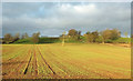 Field, Hill Top Farm