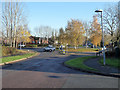 Bottom of Snowberry Avenue, Home Meadow