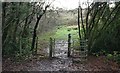 Kissing gate at Easthams Coppice