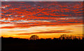TQ8893 : Sunset over arable land, nr Apton Hall Farm, Canewdon by Roger Jones