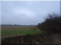 Field beside the A1035, Beverley