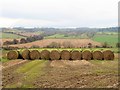 Straw bales near Sedbury Park Farm