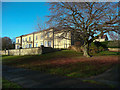 The Rydings and a tree in Rydings Park, Brighouse