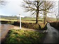 Shilstone Cross