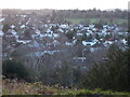 Coney Hall from West Wickham Common