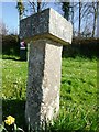 SX0873 : Old Guide Stone in Tresarrett by Rosy Hanns