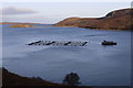 NC4458 : Salmon farming by Kempie, Loch Eriboll by Des Colhoun