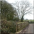 Parapet of former railway bridge, Hart Grove Farm