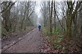 Track leading to Infield Lane, Sheffield