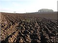 Ploughed field below Wellesley Plantation