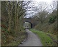 SJ9594 : New Year's Day on the Trans Pennine Trail by Gerald England
