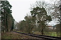 Bluebell Railway Crossing