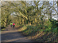 SJ7857 : Cyclists on the Salt Line by Stephen Craven