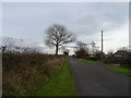 Minor road towards Scaleby