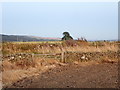 NZ1546 : Site of Longovicium Roman Fort by Eirian Evans