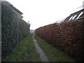 Public footpath off Woodlands Lane, Quarndon