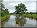 SJ9329 : Trent and Mersey Canal near Burston in Staffordshire by Roger  D Kidd