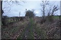 Southern Upland Way towards Gateside Bank